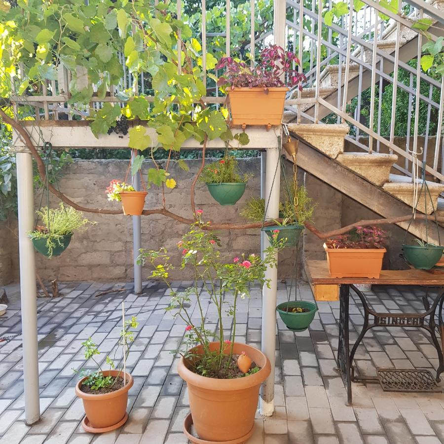 Домик У Куры Hotel Tbilisi Exterior photo